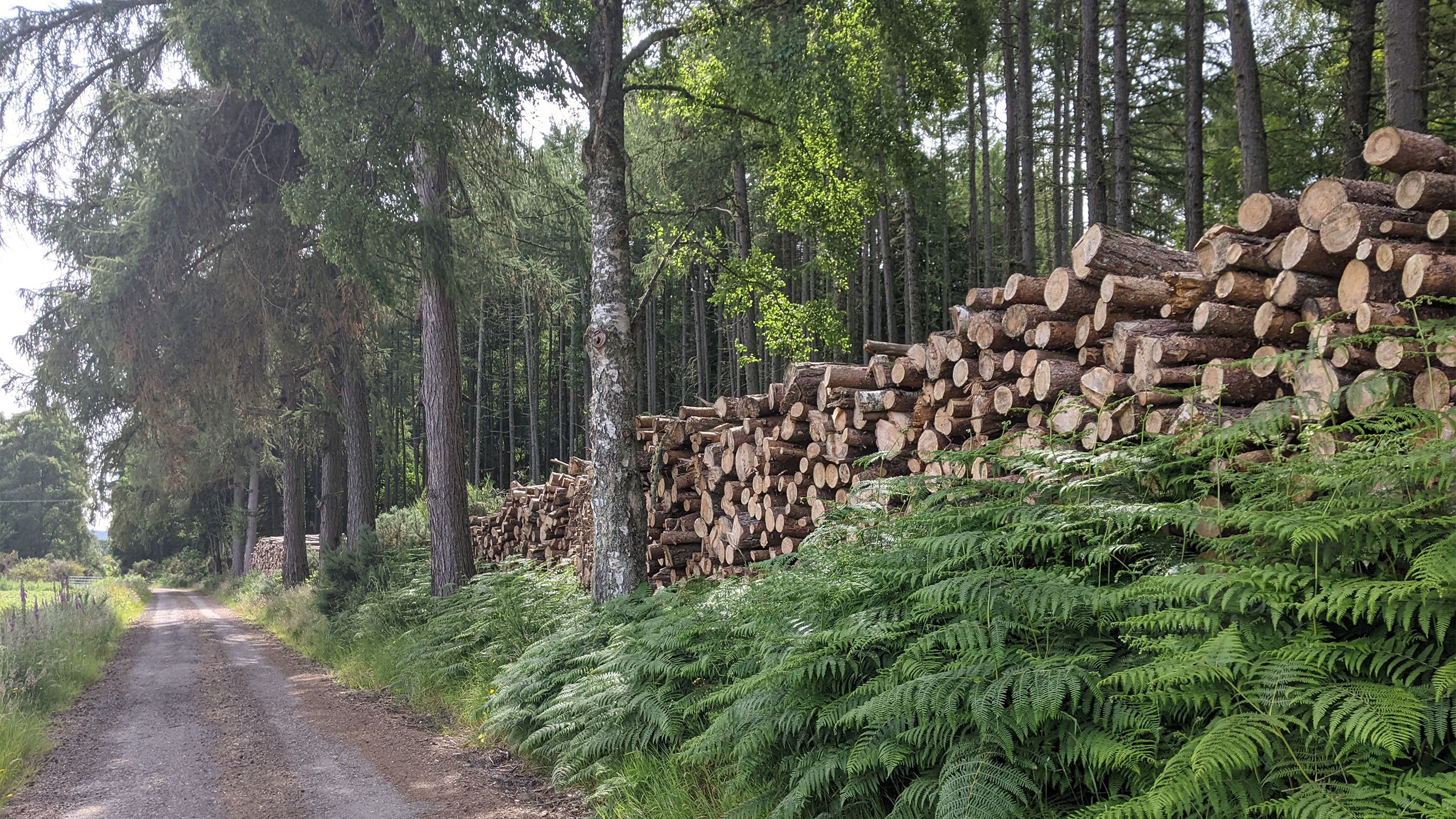 Sustainable buildings and business